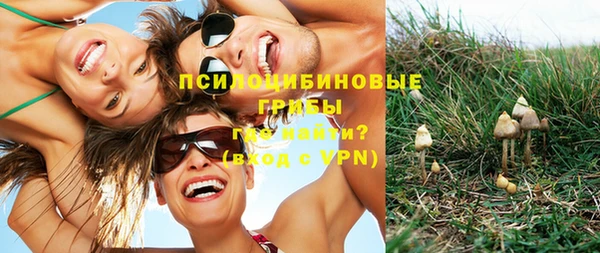 прущая мука Тихвин